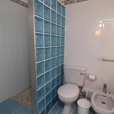 Camelia 52 - São Rafael,