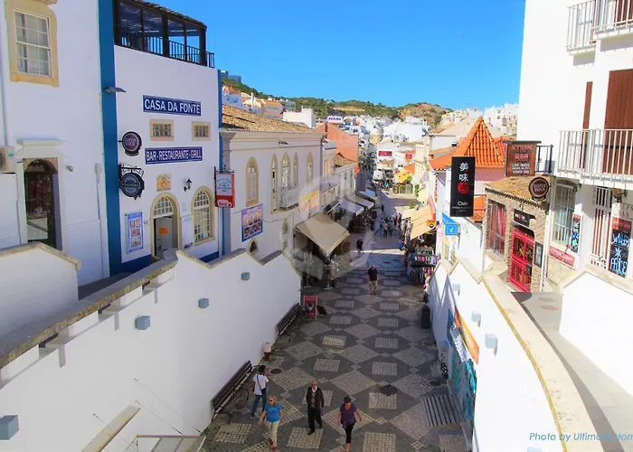 Camelia 52 - Sao Rafael, *