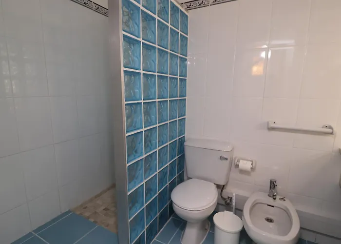 Camelia 52 - Sao Rafael,