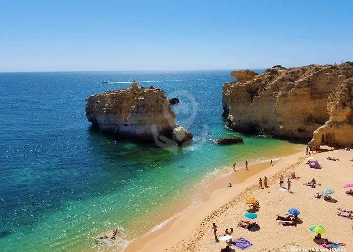 Camelia 52 - Sao Rafael, * Albufeira