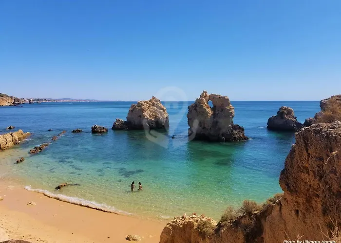 Camelia 52 - Sao Rafael, * Albufeira