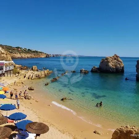 Camelia 52 - Sao Rafael,