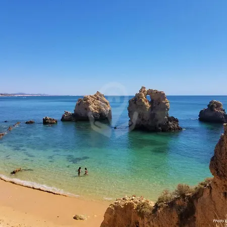 Camelia 52 - Sao Rafael, * Albufeira