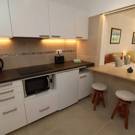 Camelia 52 - Sao Rafael, *