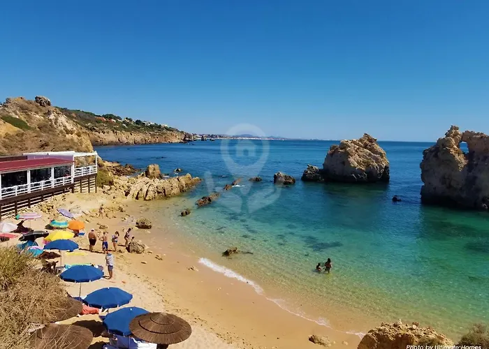 Camelia 52 - Sao Rafael,