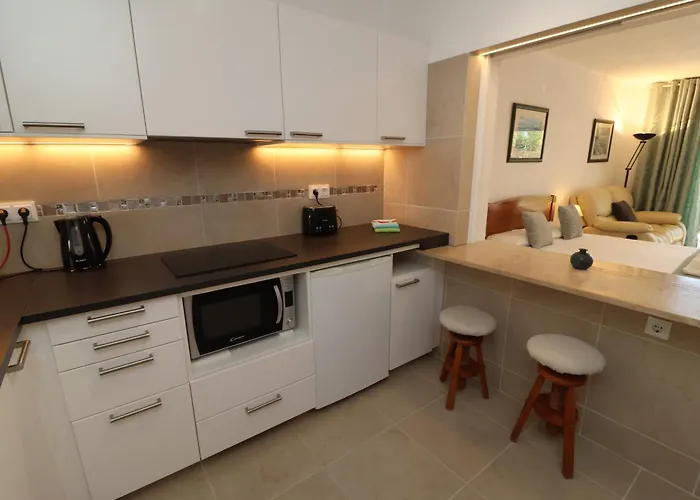 Camelia 52 - Sao Rafael, *